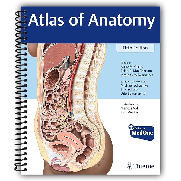 Grant's Atlas of Anatomy: Anne M. R. Agur, Arthur F. Dalley