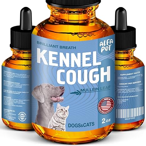 Amazon Com Dog Cough Kennel Cough Dog Allergy Relief Supplements For Dogs Cats Health Allergy Relief Immune Supplement For Dogs For Dry Wet Barkly Pet