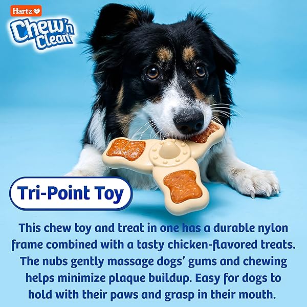 HARTZ CHEW ‘N CLEAN CHEW TOY AND TREAT IN ONE CHICKEN FLAVORED TRI-POINT DOG TOY, MEDIUM