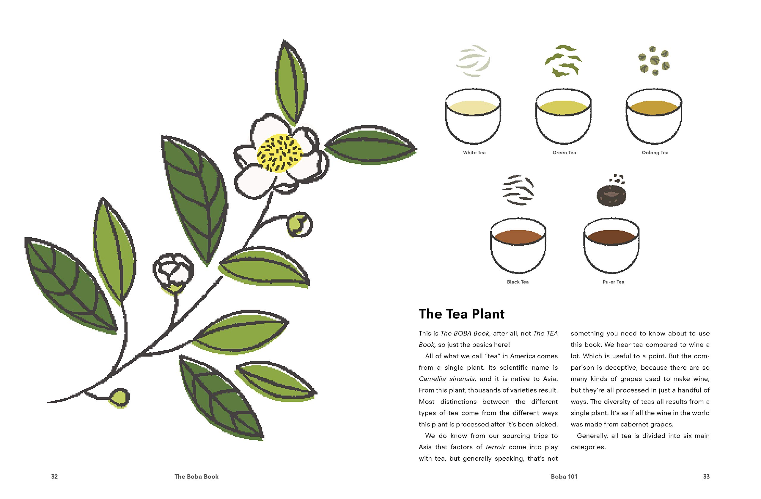 The Boba Book: Bubble Tea and Beyond