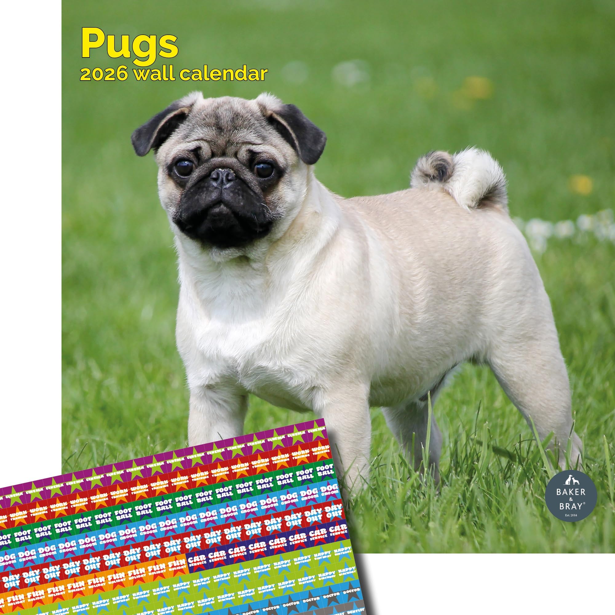 Baker and Bray Pug Calendar 2025, Large Square Wall Calendar With Organisational Stickers, 16 Month, Pug Gift Dog Calendar.