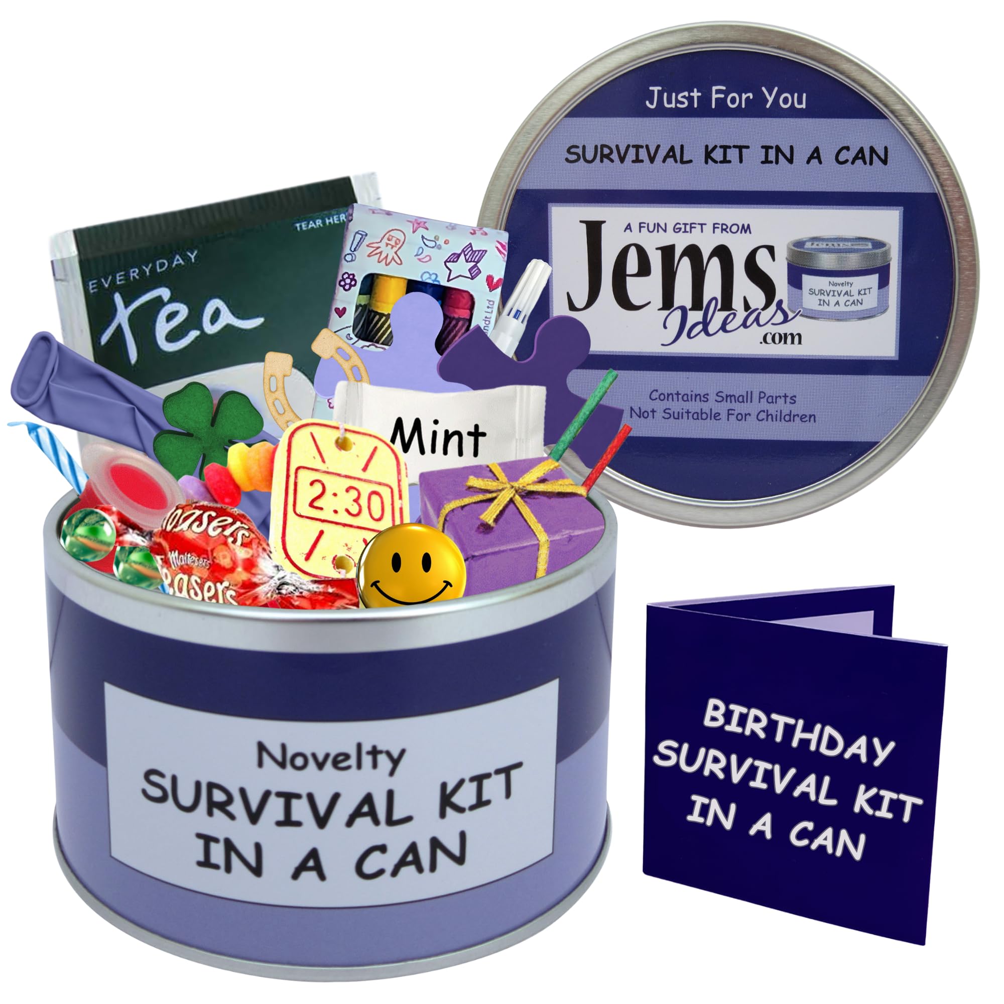 Survival Kit In A Can Birthday Humorous Novelty Fun Gift Happy Birthday Present & Card All In One. Friend, Sister, Brother, Mum, Dad, Niece, Nephew, Aunt, Uncle, Cousin, Nan, Grandad. (Purple/Lilac)