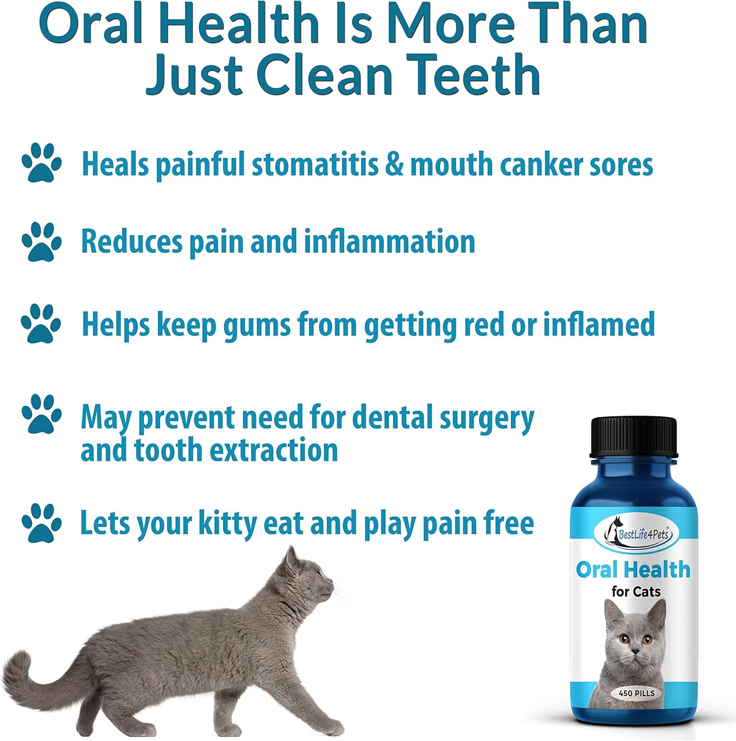 Cat Oral Health and Dental Care Supplement - Natural Anti-inflammatory and Pain Relief for Feline Stomatitis and Tooth Infection, Helps Control Tartar, Plaque and Gum Disease - Easy to Use : Pet Supplies
