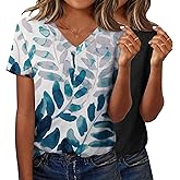 Zeagoo Short Sleeve Shirts for Women Casual Soft V Neck Basic Tee Tops Summer Outfit Clothes
