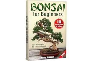 Bonsai for Beginners: Easy Mastery for the Time-Strapped. Learn 10 Speedy Steps to Take Care and Make a Healthy, Evergreen Tr