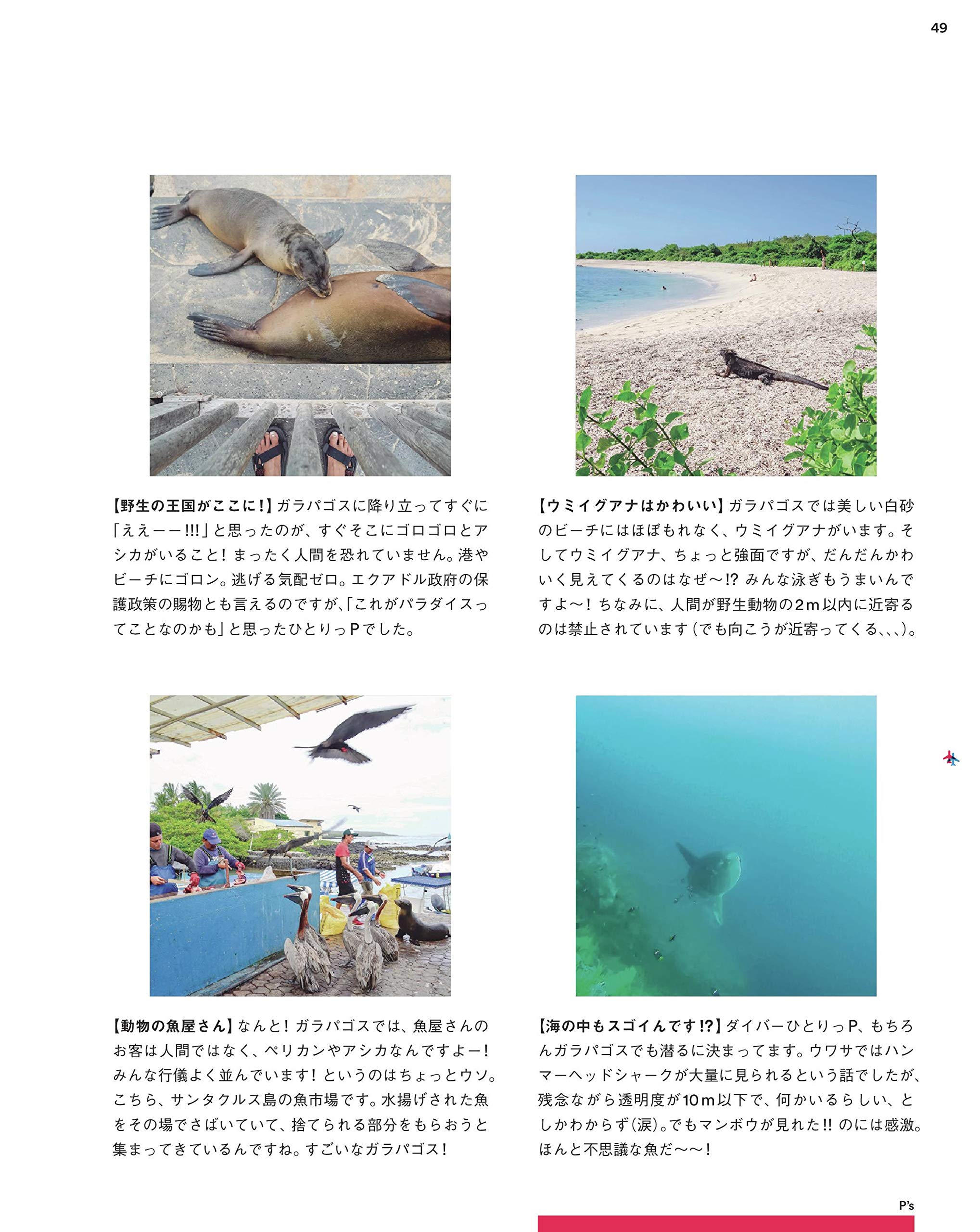 集英社ムック たまには世界のどこかでふたりっぷ ひとりっp 地曳 いく子 本 通販 Amazon