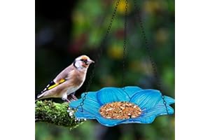HONGLAND Bird Baths for Outdoors, Glass Birdbaths Outdoor Birdfeeder with Metal Stake (Blue with Hanging)