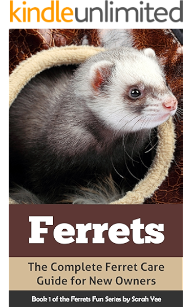 proper ferret care