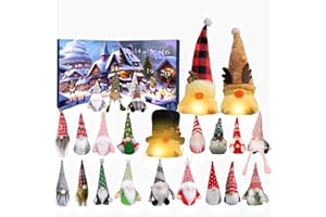 Gnomes Advent Calendars 2025, 24 Days Christmas Countdown Calendar with 24 Gnomes, Collectible Christmas Figures Gnome Home D