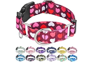 Fidohug Valentines Pink Martingale Collar for Dogs with Buckle Adjustable Heart Dog Collars (Burgundy Love, Large)