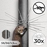 Coffee Life Plus Protection Contre Les Martres,Anti-martres Pour Tuyaux De Descente,INOX Barrière Anti Chats Fouines Pour Arbre Et Gouttière,Barrière Anti Toute Sorte D'Animaux Grimpeur (45mm*5m