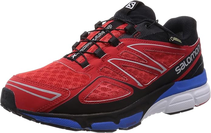 Salomon Herren X Scream 3d Gtx Traillaufschuhe Rot Bright Red Black Union Blue 46 Amazon De Schuhe Handtaschen