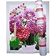 Pink Picasso Kits Botanical Floral Paint by Number for Adults | DIY Canvas Painting Kits Color by Numbers As Seen On Shark Tank | Dahlia Delight 16x20 - Paint Kit Set