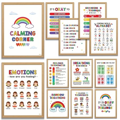 Mua INTELLECTUAL NEEDS 12 Calming Corner Posters – Feelings Chart for ...