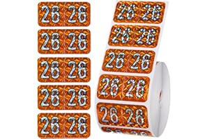SINBANA 500 2026 Year Labels, 3/4 x 1-1/2 inch File Folder Stickers Color Coded Medical Chart Number Labels for Office Supplies (Holographic Orange)