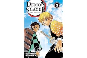 DEMON SLAYER T03: DEMON SLAYER T03