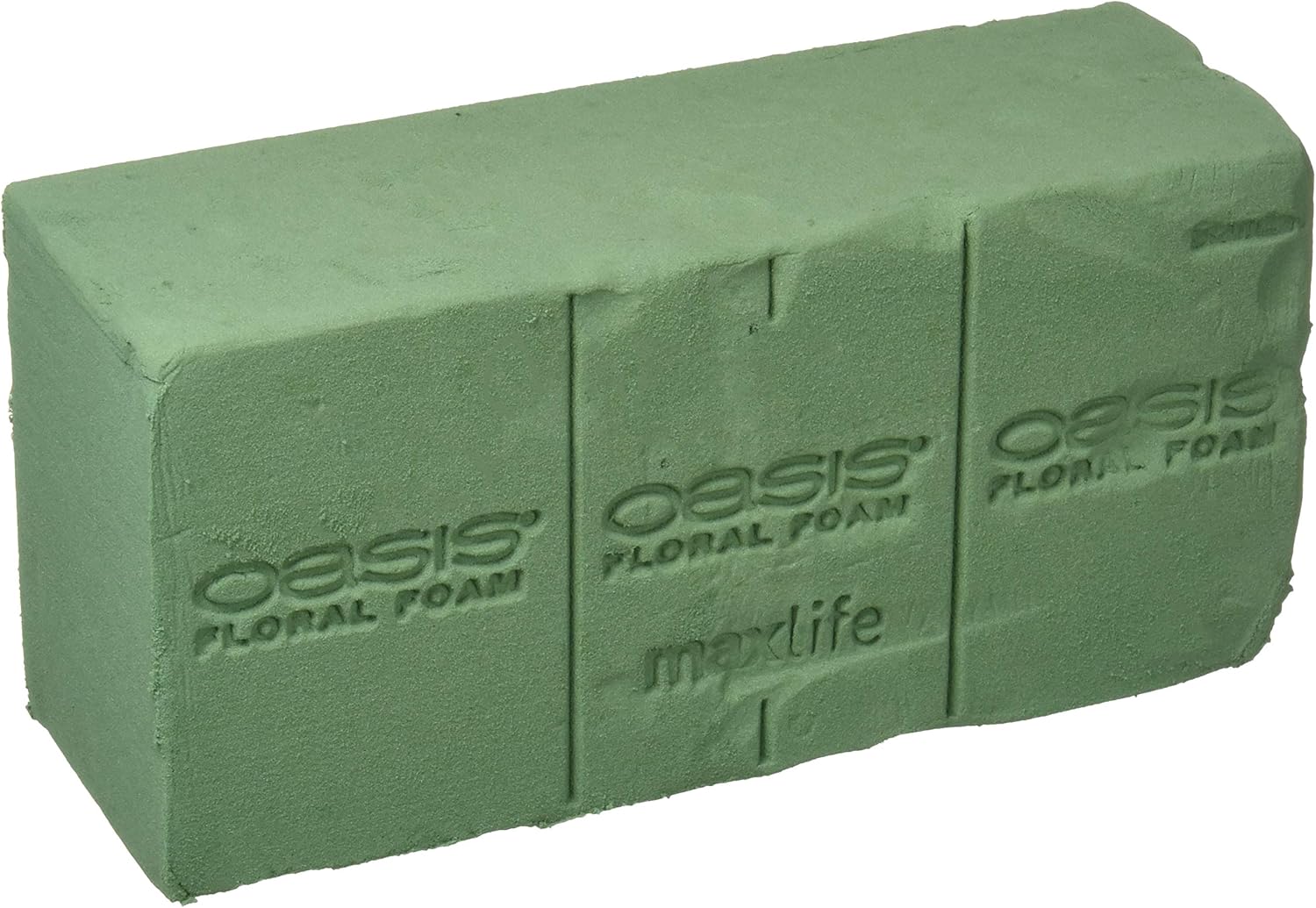 Oasis Floral Products Floral Foam Brick, 2 Pack Health