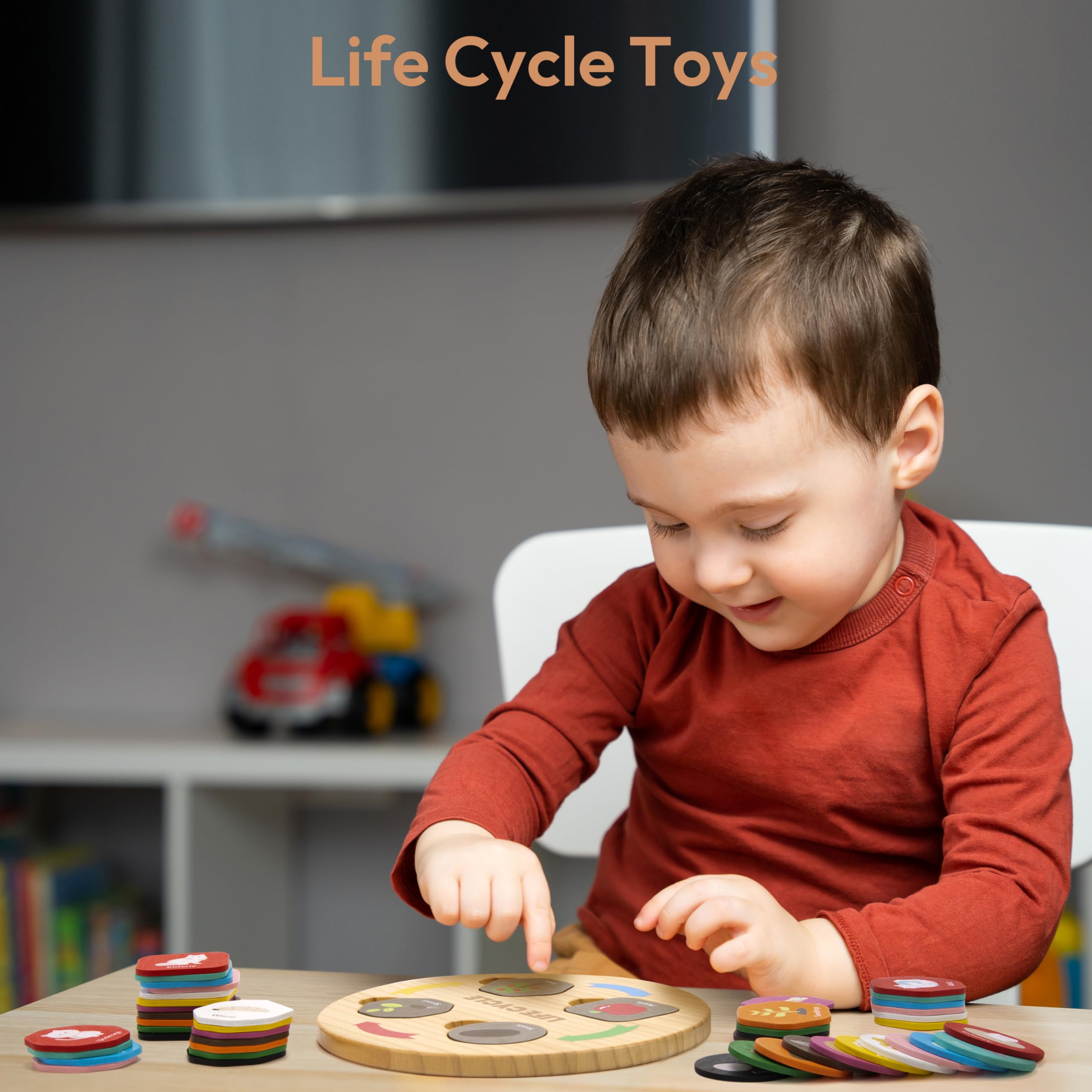 Life Cycle Toys for Kids, 12 Themes Montessori Preschool Science Center Materials, Wooden Learning & Educational Toys for Toddlers, Learning Game Travel Gift STEM Toys for Boys Girls Age 3-6
