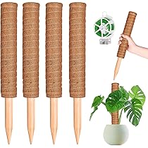 81l-NdaeY7L._AC_UL210_SR210,