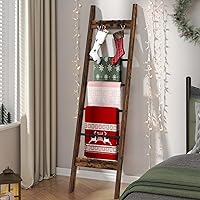 Hzuaneri Blanket Ladder Shelf for Living Room, Decorative Quilt Rack with 4 Removable Hooks, Farmhouse Ladder Holder Organize