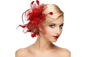 dressfan Fascinator Hat Headpiece Womens 20s Vintage Wedding Hair Accessories for Kentucky Derby/Wedding/Cocktail/Tea Party