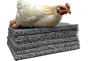 Blazego Washable Nesting Pads for Chicken Coop, 12” Drop Protection, Reusable Plastic Nesting Box Liners, 12"x 12" Chicken Nesting Pad for Laying Eggs, (Dark Grey)(6 Pack)