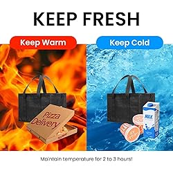 Small Insulated Cooler Bag and Food Warmer for
