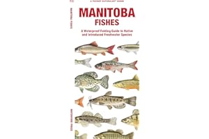 Manitoba Fishes