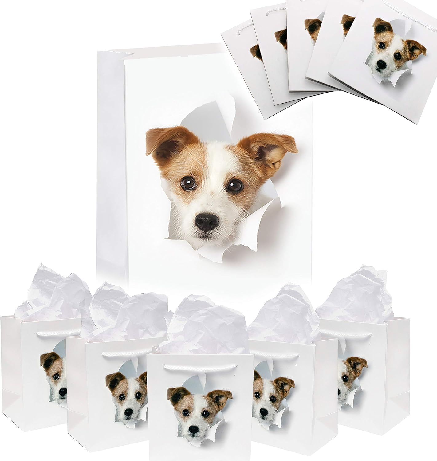 dog kennel layout ideas