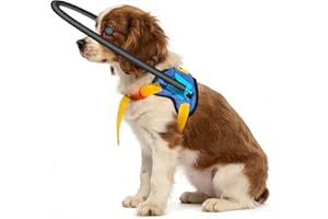Blind Dog Halo Harness, Protective Halo Dog Collar for Blind Dogs, Confidence Building Harness Guiding Device, Blind Dogs Acc