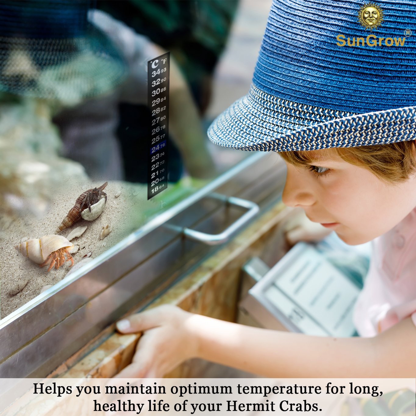Stick-on Thermometer for Hermit Crabs -- Provide Precise Temperature Measurement - Easy To Use and Install - Helps Keep Crabs Healthy & Live Longer