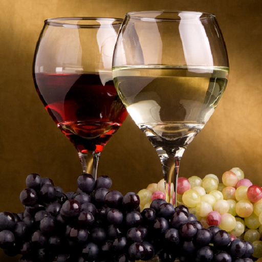Wine Language Pocket Guide - Thumbnail 6