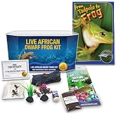 African Dwarf Frog Kit with Certificate for 2 Live Frogs, Book, Tank Bundle | 2 live young pet aquatic frogs, easy to care for, with habitat, supplies and a 32-page illustrated life cycle book