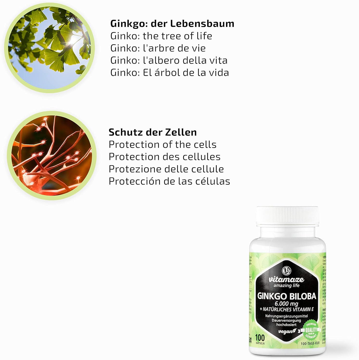 Ginkgo Biloba Capsules 6000mg with Acai, L-Carnitine and Vitamin E, 100 Days Supply, Memory and Energy Booster - Image 4