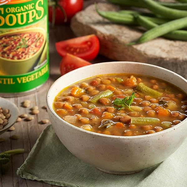 AMY’S LENTIL VEGETABLE LOW SODIUM ORGANIC SOUP, 14.5 OUNCE