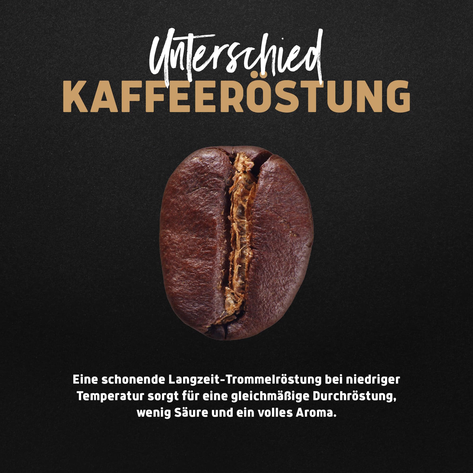 Landpark Bio Kaffee Crema 500g (4er Pack) - 100% Arabica Kaffeebohnen - Medium Roast - Säurearmer Bohnenkaffee - Fair Trade gehandelt 6