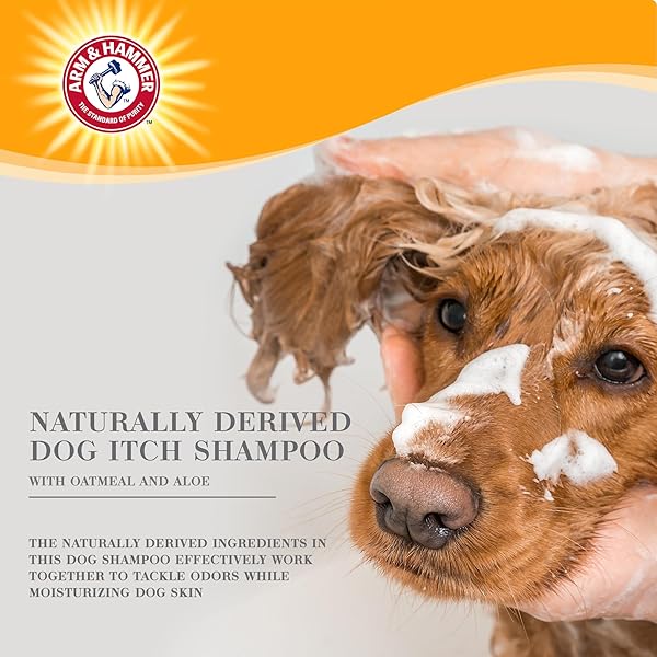ARM & HAMMER ULTRA FRESH OATMEAL DOG SHAMPOO WITH ALOE FOR ITCH RELIEF AND ODOR CONTROL, BAKING SODA DEODORIZING PET SHAMPOO FOR DRY ITCHY SKIN, PUMP BOTTLE DOG WASH, WHITE TEA & SAGE SCENT, 24 FL OZ