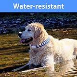 PcEoTllar Light Up Dog Collar Rechargeable Waterproof Adjustable Blue-L view 4