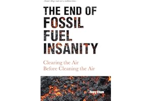 The End of Fossil Fuel Insanity: Clearing the Air Before Cleaning the Air