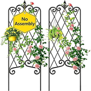 Amazon Best Sellers: Best Garden Trellises