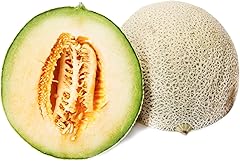 Cantaloupe Melon, 1 Each