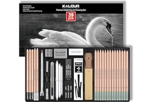 KALOUR PDAS 39pcs Drawing Pencils Set, Professional Sketch Pencils (5H-14B), Black and White Charcoal Pencils for Sketching, 