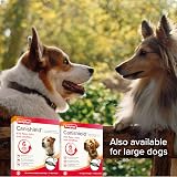 Beaphar Canishield Medicated Flea & Tick Collar Small/Med Dogs 4-6 Months view 9