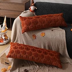 DFXSZ Fall Pillow Covers 14x36 Set of 1 Fall