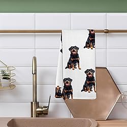 Yorhifa Rottweiler Dog Kitchen Dish