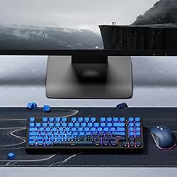 GMKWTL XVX Topograph Shine Through Keycaps, Double