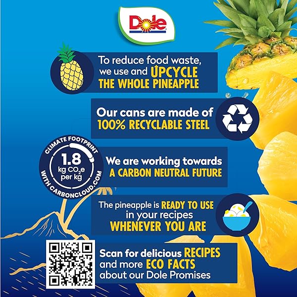 DOLE CANNED FRUIT, TROPICAL GOLD PINEAPPLE CHUNKS IN 100% PINEAPPLE JUICE, GLUTEN FREE, PANTRY STAPLES, NO SUGAR ADDED, 15.25 OZ