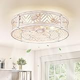 LEDIARY 20" Caged Ceiling Fan with Light, Small