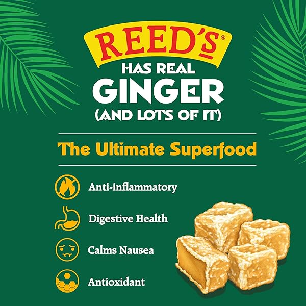 REED’S ALL NATURAL CRYSTALLIZED GINGER NUGGETS IN A 16 OZ RESEALABLE BAG – BABY GINGER ROOT FRUIT SLICES SWEETENED WITH RAW CANE SUGAR CRYSTALS – HIGH ENERGY GINGER CANDIES FOR SNACKING – 12 PACK
