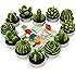 amasky Cactus Tealight Candles, Handmade Delicate Succulent Cactus Candles for Valentine's day Birthday Party Wedding Spa Home Decoration, 12 Pcs in Pack. (12)